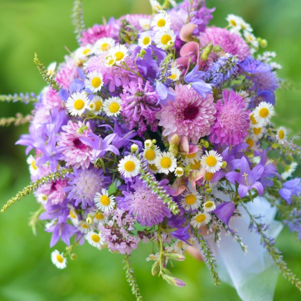 Большой букет полевых цветов