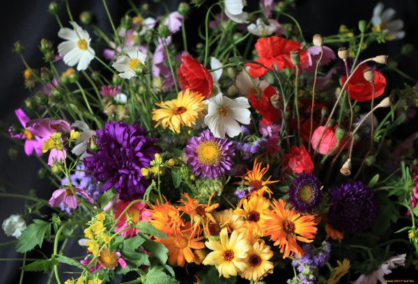 Букет полевых цветов