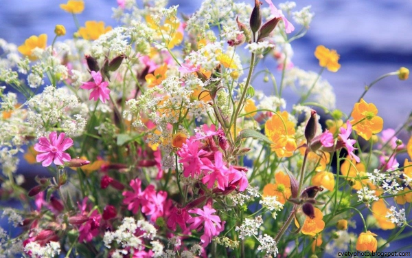 Шикарный букет из полевых цветов