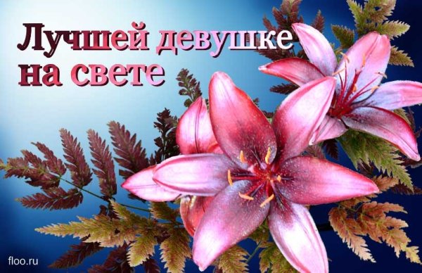 Самой красивой девушке на свете