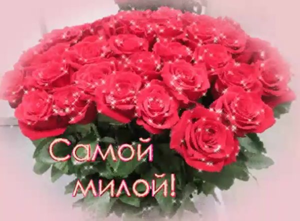 Розы для самой красивой девушки