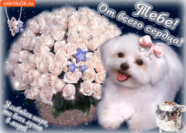 Букет для самой очаровательной