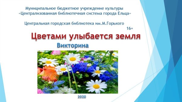 Ромашковое поле девушка