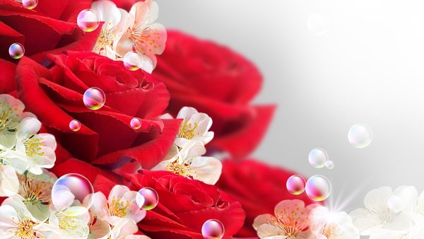 С днём рождения сестра