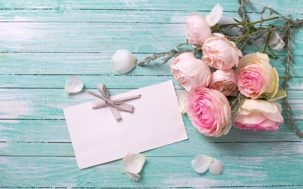 Поздравления с днём рождения Антонине