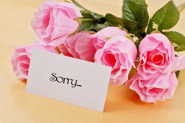Букет роз с извинениями