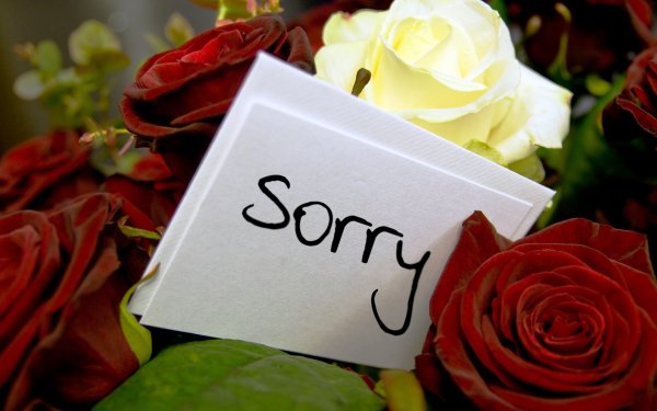Извинения с цветами