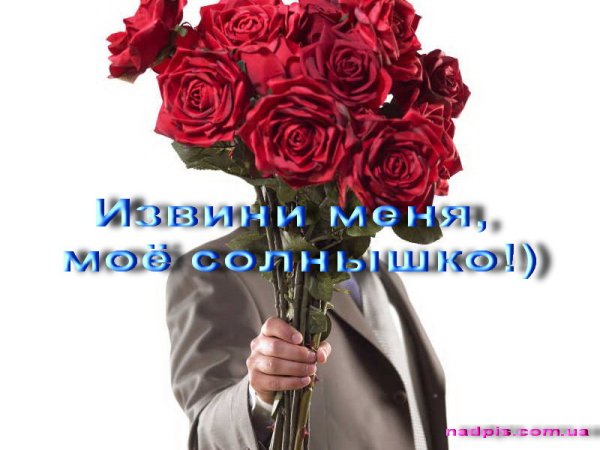 Букет цветов с извинениями