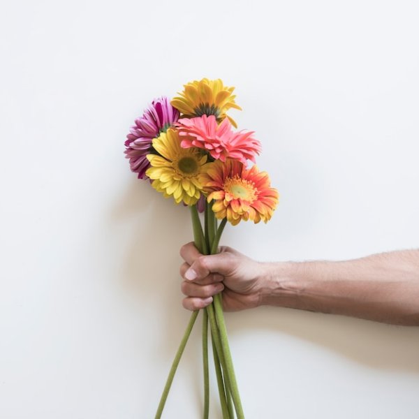 Букет цветов прости