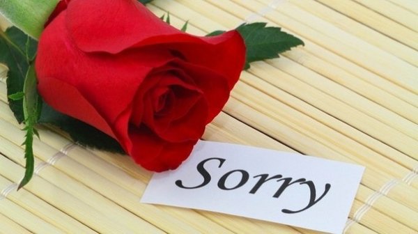 Прости цветы