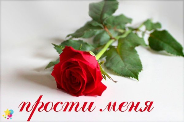 Букет роз с извинениями