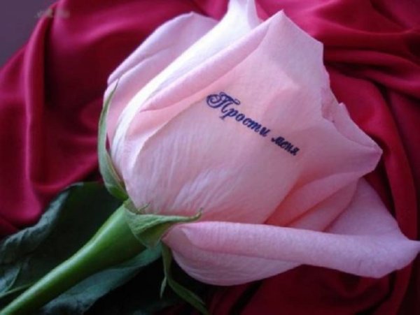 Прости меня