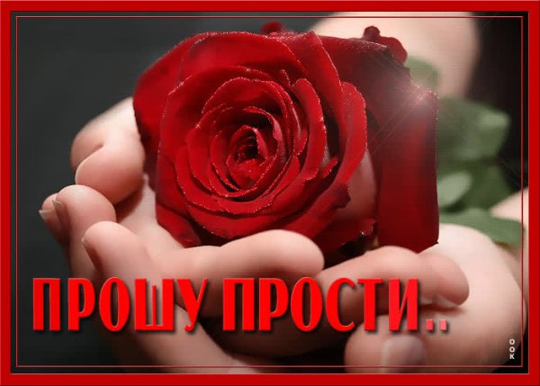 Букет цветов с извинениями