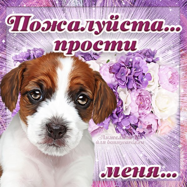 Извинения с цветами