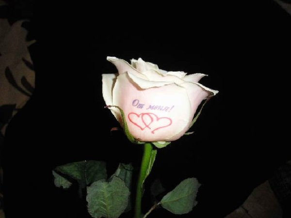 Огромный букет цветов с днем рождения