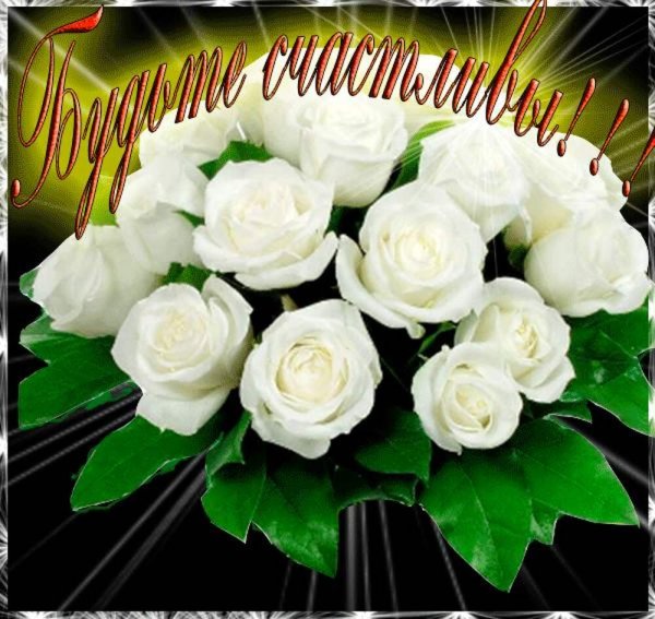 Поздравительные открытки с днём рождения белые розы