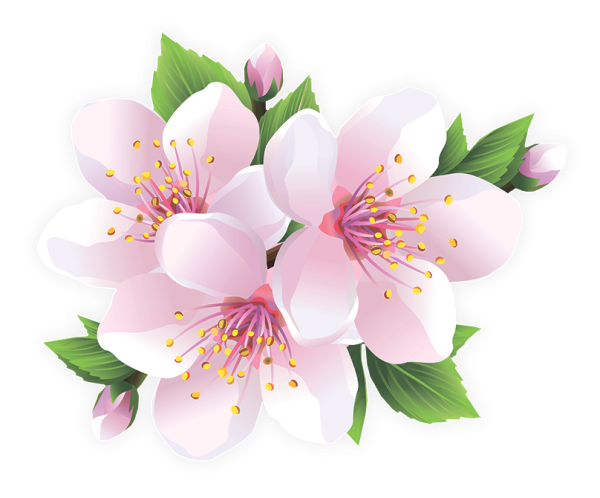 Весенние цветы