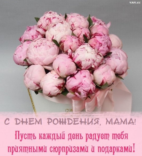 Открытки с днем рождения пионы (много фото) - luchistii-sudak.ru