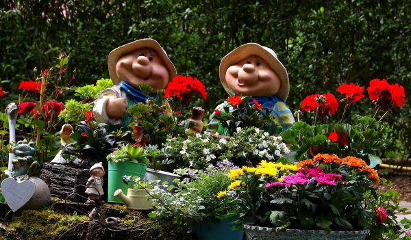 Огород с цветами