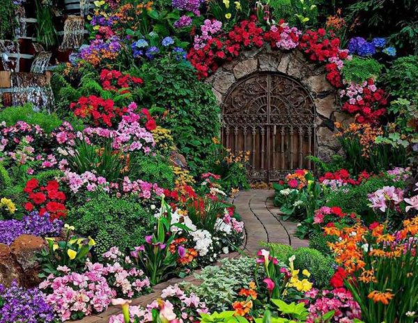 Цветочный сад