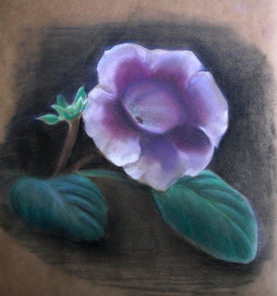 Цветы пастелью