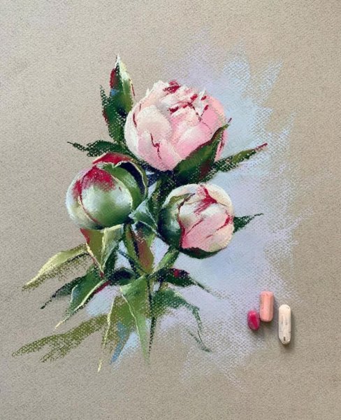 Пионы сухой пастелью