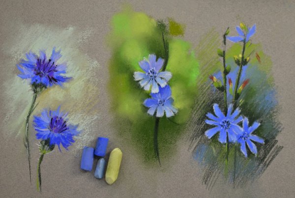 Цветы пастелью для детей