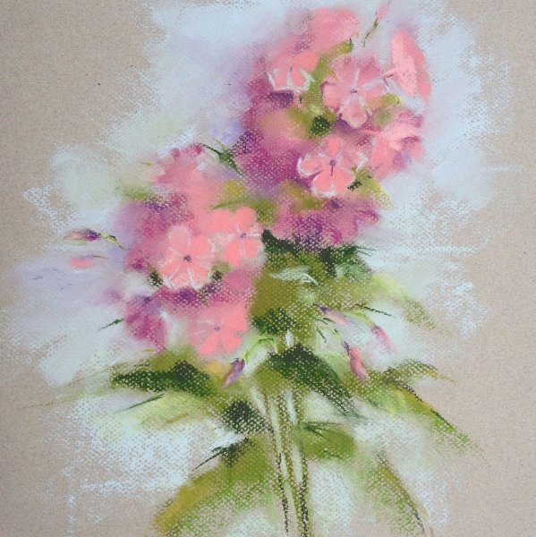 Цветы пастелью сухой