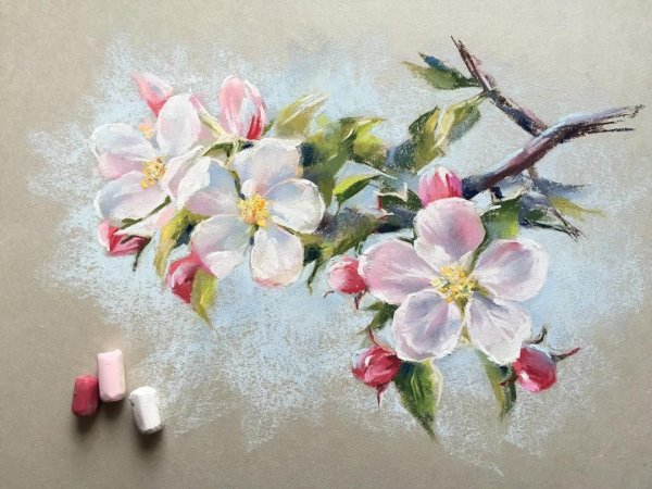 Художник Елена таткина пастель