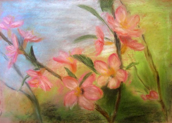 Сухая пастель для рисования