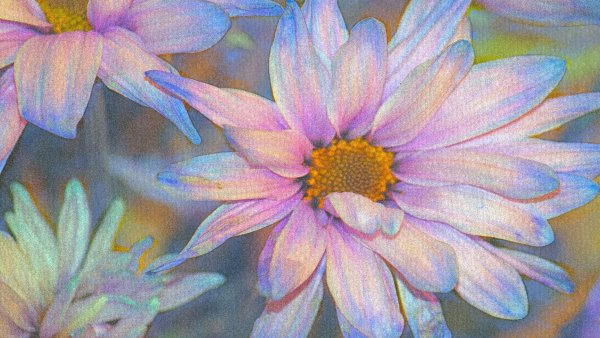 Цветы живопись