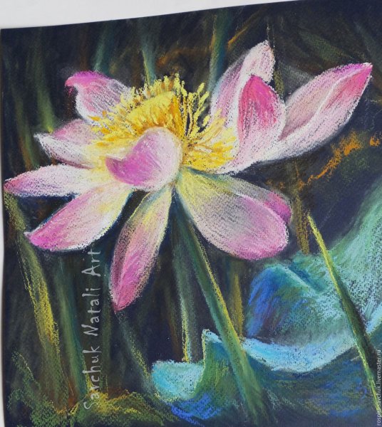 Лотос пастелью