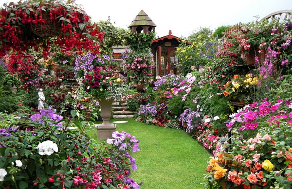 Сад Эдвины Фран