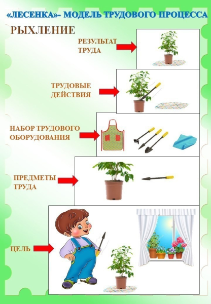 Алгоритм ухаживания за растениями в детском саду