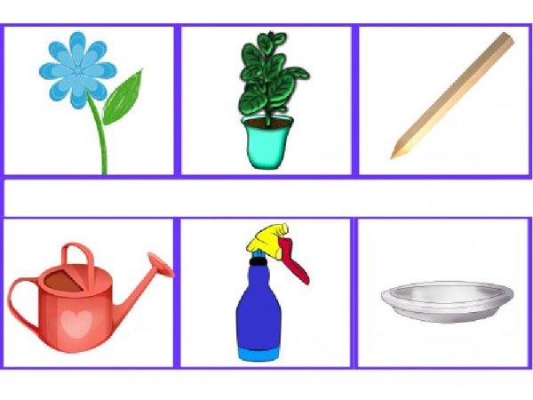 Алгоритм ухода за растениями