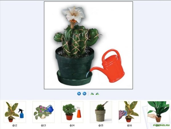 Ухаживание за растениями в детском саду