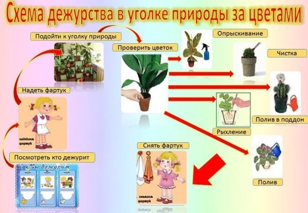 Алгоритм ухода за растениями