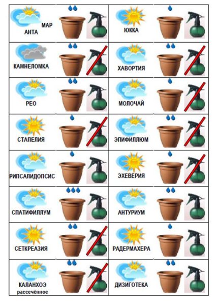 Схемы полива цветов в детском саду