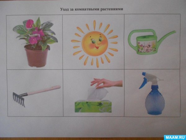 Алгоритм ухода за растениями