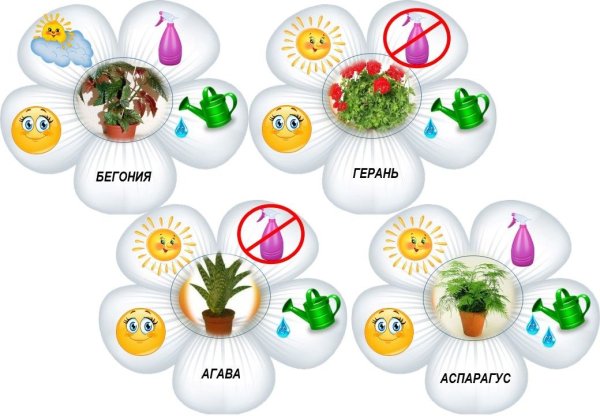 Бирки для комнатных растений