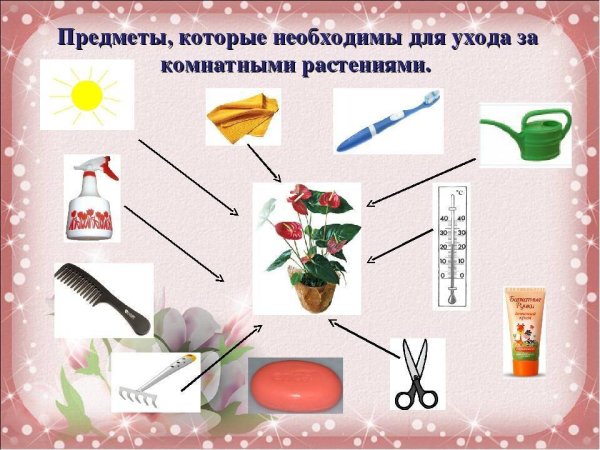Предметы для ухода за растениями