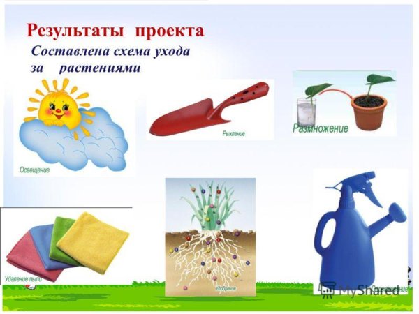 Предметы для ухода за комнатными растениями