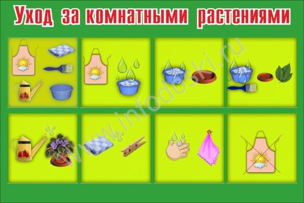 Алгоритм дежурства в природном уголке