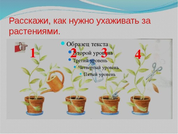 Способы ухода за растениями