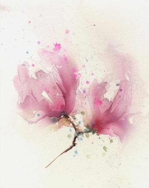 Акварельные цветы