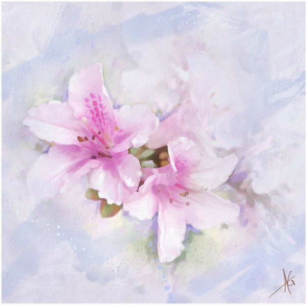 Акварельные пастельные цветы