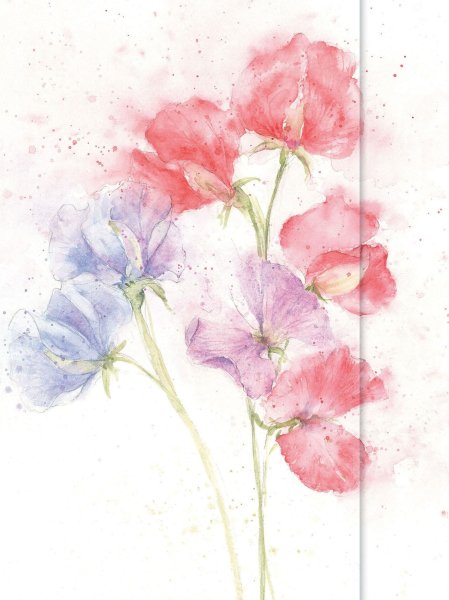 Jan Harbon акварели