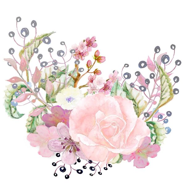 Цветы акварель на прозрачном фоне