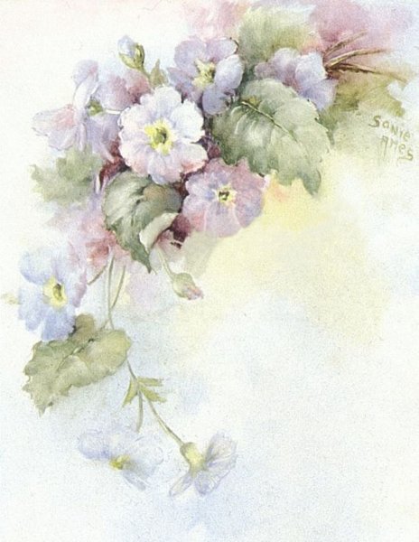 Художник Sonie Ames