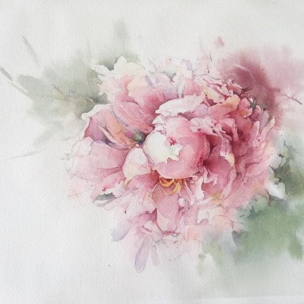 Пионы фотофон акварель
